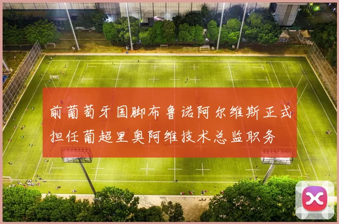 前葡萄牙国脚布鲁诺阿尔维斯正式担任葡超里奥阿维技术总监职务