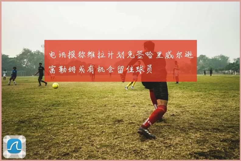 电讯报称维拉计划免签哈里威尔逊富勒姆或有机会留住球员